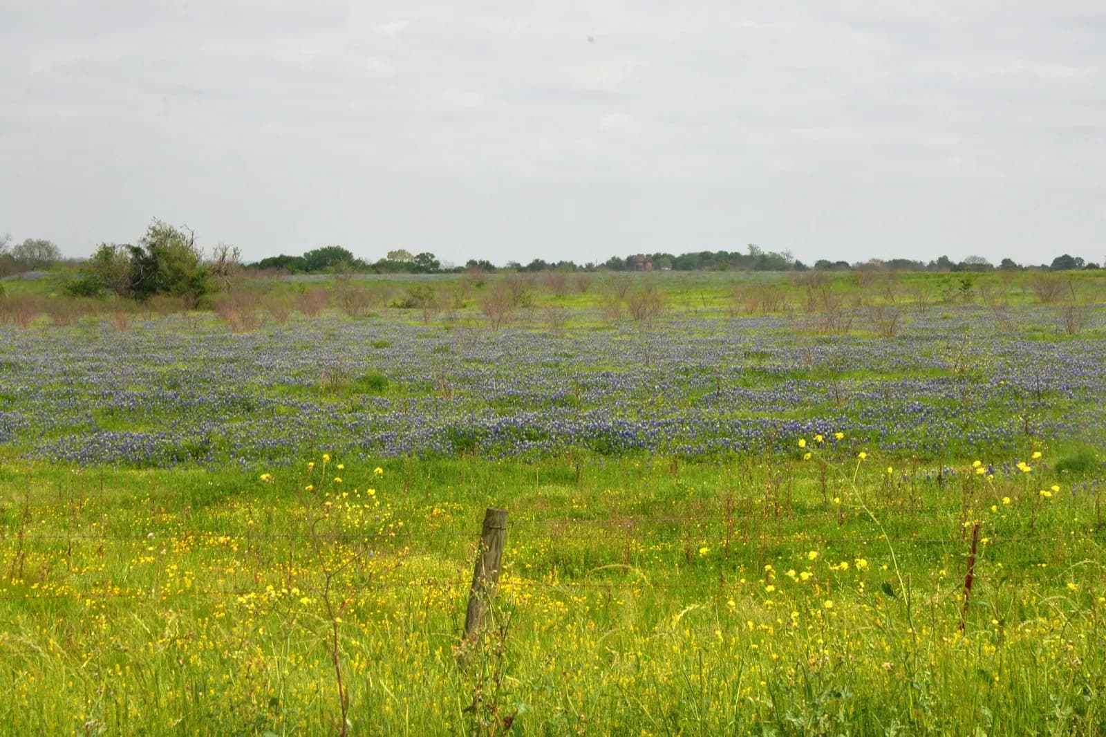 County Road 226, Salado
